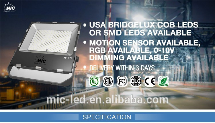 Meanwell Driver Waterproof Outdoor Led Flood Light For Stadium Manufacturers