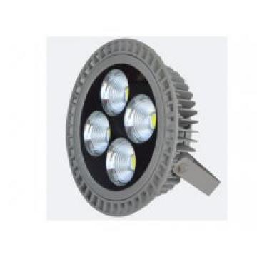 High Quality IP65 200W LED Circle Flood light