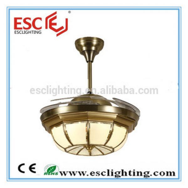 led light ceiling fan /ceiling fan light for indoor decoration