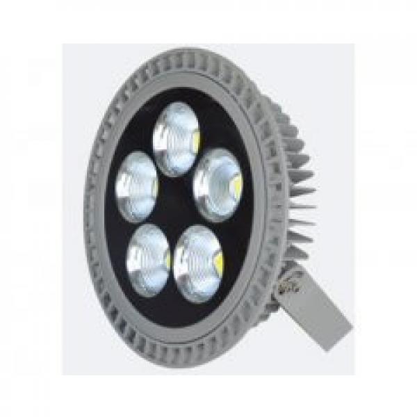 High Quality IP65 200W LED Circle Flood light