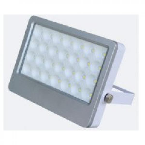 20W 30W 50W IP65 LED Flood light